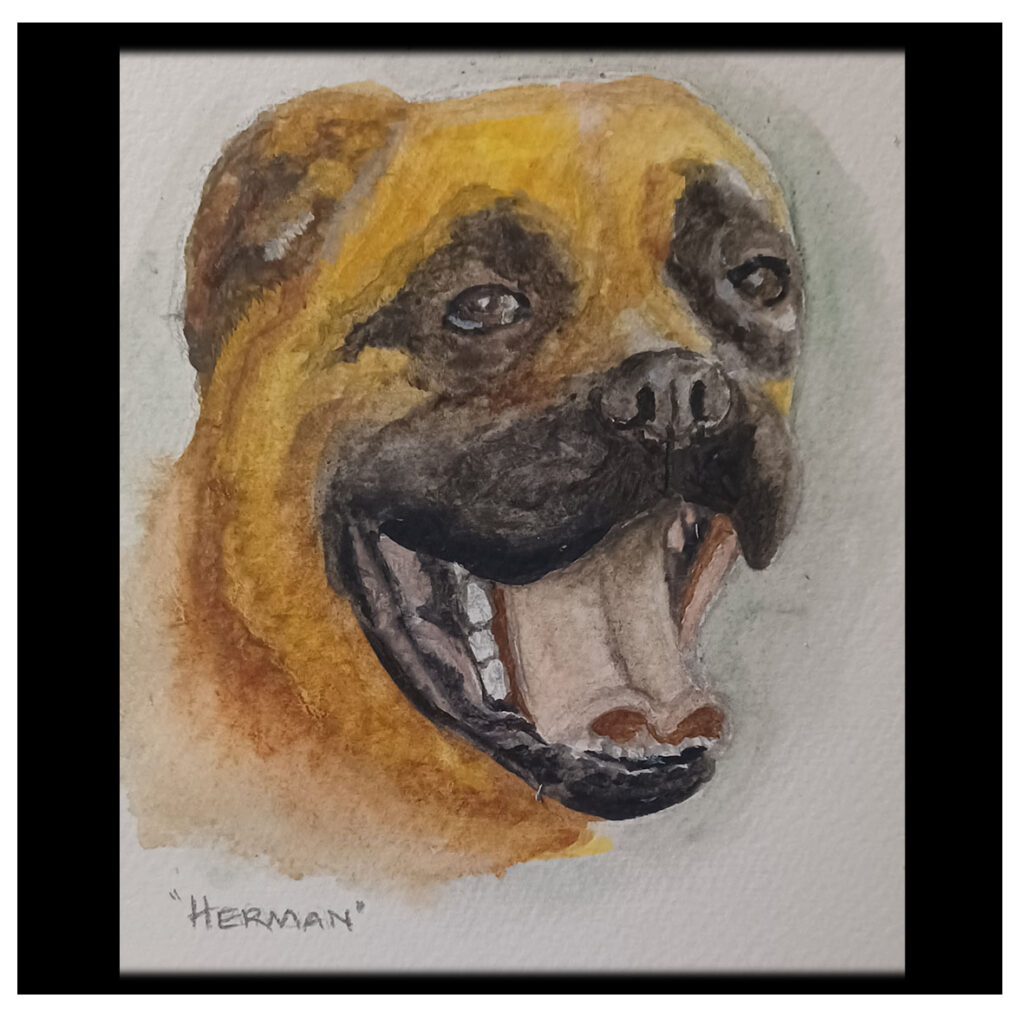 Herman2