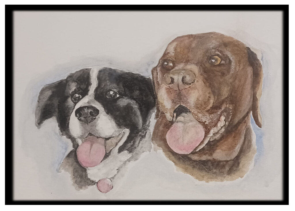 dogs