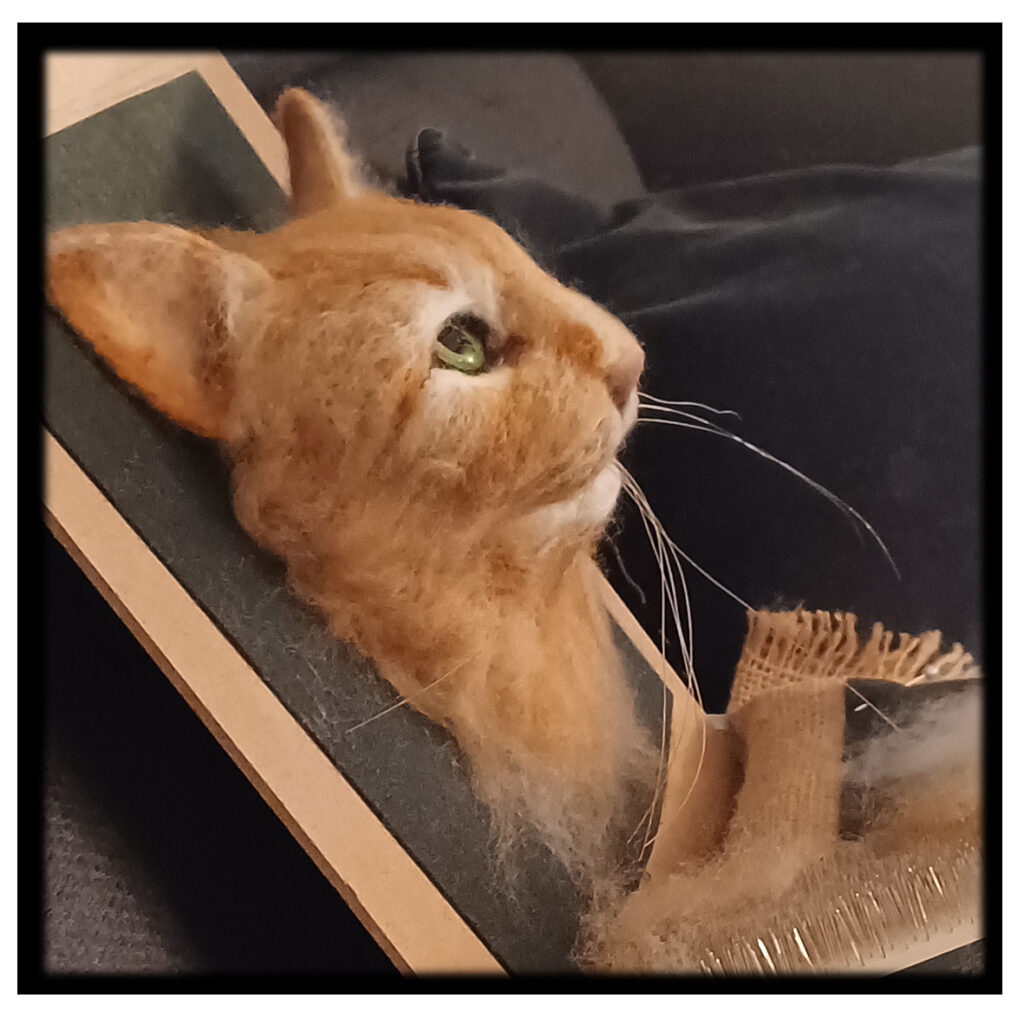 nigel