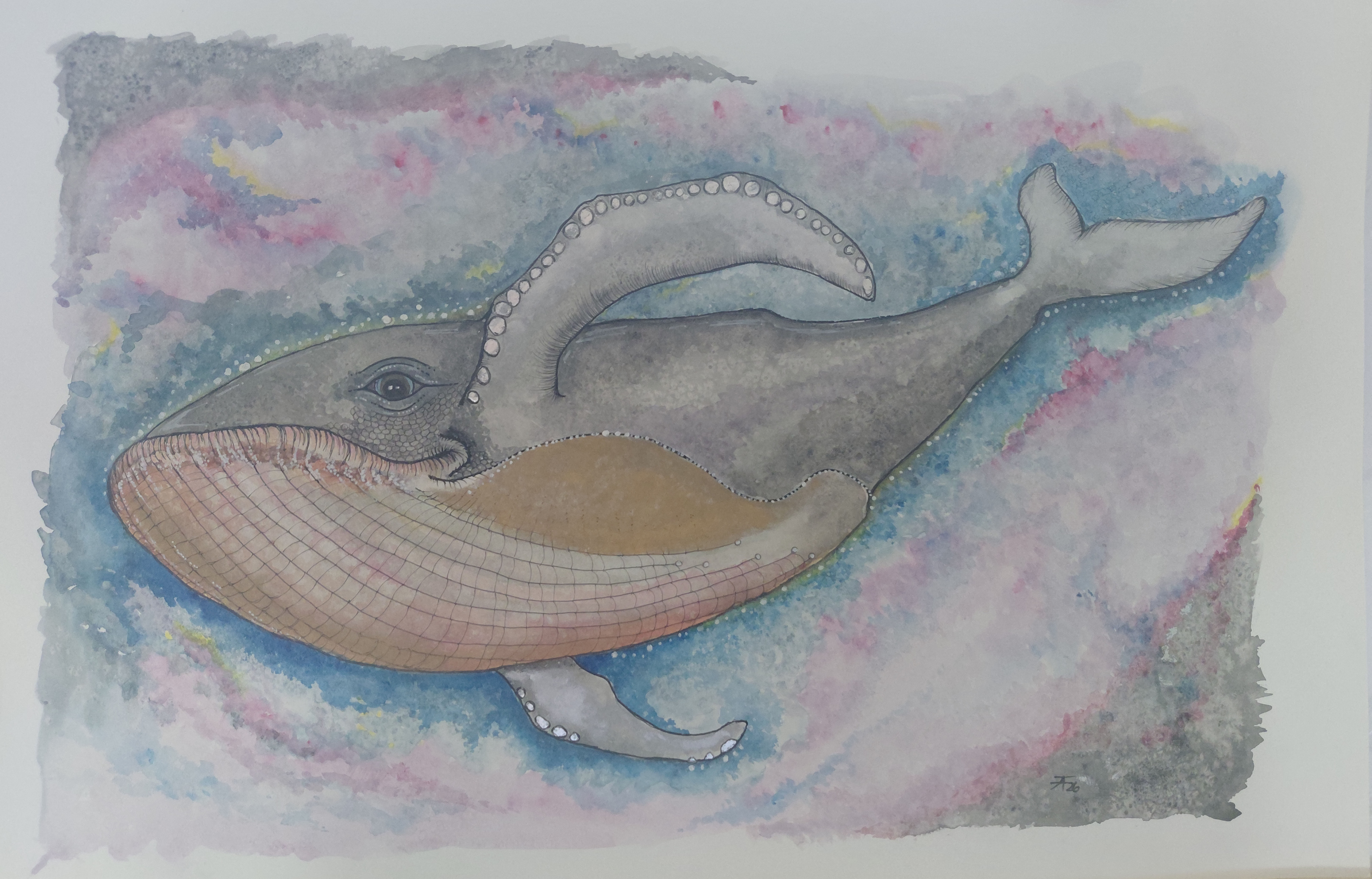 A2 Whale closer